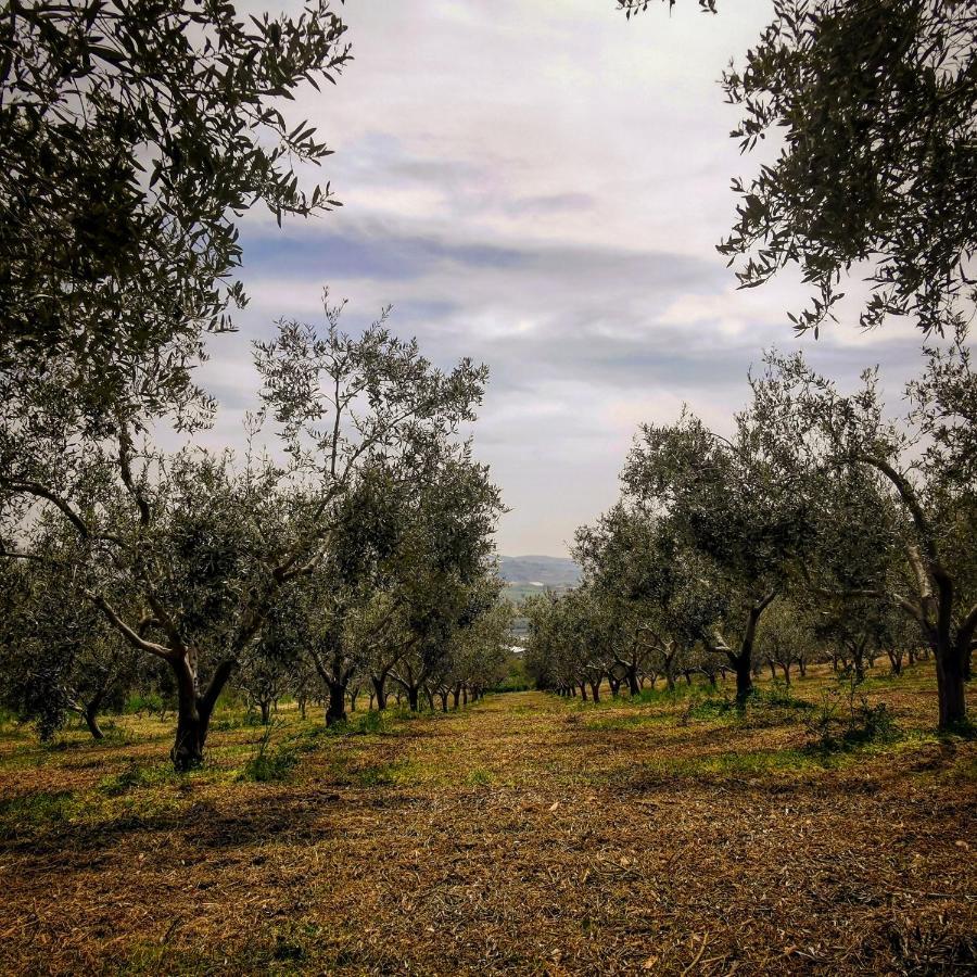 Villa Alessi - Dimora Storica Racalmuto Dış mekan fotoğraf
