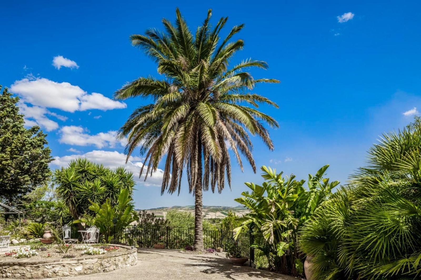 Villa Alessi - Dimora Storica Racalmuto Dış mekan fotoğraf